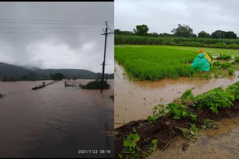 Kolhapur-rain-update