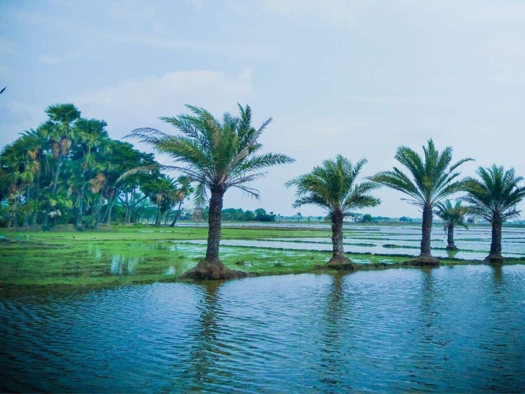 Havaman Andaj Today image