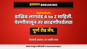 डाळिंब लागवडीचे महत्त्व आणि महाराष्ट्रातील परिस्थिती 1 Havaman Andaj Today dalimb lagwad marathi guide